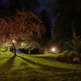 When The Night