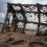 To Die @ Sea.