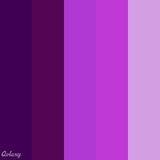 Troutski is brought to you buy the color purple.