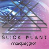 SLICK PLANT