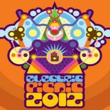 Matador Live @ Electric Picnic (Ireland) (01.09.2012)
