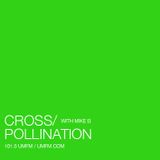 Cross-Pollination-Sept09
