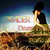 X-ADER - Deep into the vibe of house (PROMO JAN 2013)