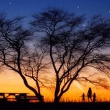 Midsummer Night's Trance