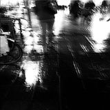 fallen leaves mx (13042012)