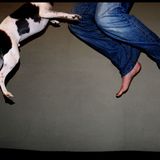 Catz n Dogz Minimix