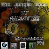 #73 Emergency FM Jungle Show - Jul 15th 2014 (Part 1)