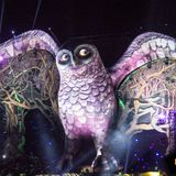 Above & Beyond @ Kinetic Field, EDC Las Vegas, USA 2014-06-23