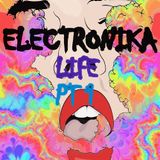 ELECTRONIKA LIFE 2014 Set Part1-RAGHAV RATHORE