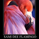 Sami Dee's Stereo Zone Pt.74