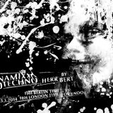 Herr Bert - DYNAMIXX TECHNO #20 - 25.01.2014
