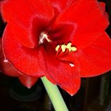 DJHansi House Mix Wila Herbst