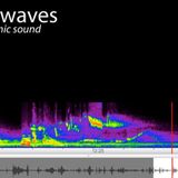 Patti Schmidt-Brave New Waves 2004-2005 on CBC Radio -Nr.5