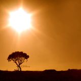 View From Earth Blog 15th July