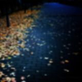 Autumn Vibes Set