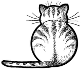The ideal of calm exists in a sitting cat.