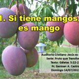 SI TIENE MANGOS ES MANGO