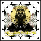 HOLLOW PIGEONS / Lifted Mix for Stock71