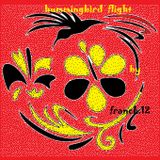 The fligt of the hummingbird