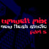 Umwelt@Newflesh Studio Part 05 (2006)
