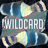 Wildcard - Ghetto Funk Slushies (Live from Wintour)