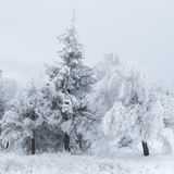 winter blend of techstepping and tech funk rollers some softer tones in-between