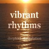 Vibrant Rhythms #Deeptech where Deephouse meets Techhouse Music Megamix on TheRemixLabel