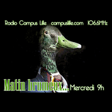 Matin Brumeux.... #3... Canards dans la brume... sur Radio Campus Lille