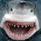 DJ DEFIANT "Sharks Teeth 2013'