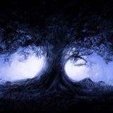 NU Session exclusive set 2011.06.14 Dawn free Style mix (by Joude)