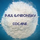 Paul Gavronsky - Cocaine ( Orginal Vocal mix )