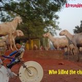 Afrosouldescarga n°3 - Who killed the chicken?