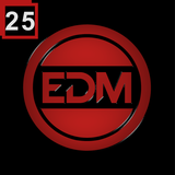 Mixed Tracks Vol 25 (Mixed By Franco Garbiso)