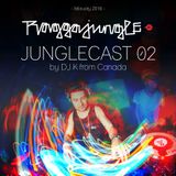 Raggajungle.biz Junglecast 02 - DJ K