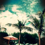 Playlist Semanal #81