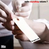 Radio Soundhog Volume 7 - The Game's Over