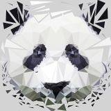 Perplexed Panda (April 2016 Mix)