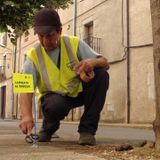 "No teníem previst que l'impacte fos tan gran: una tele estatal venint al poble a filmar caques"