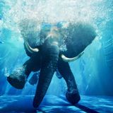Radiomade.ie Well Deep mix