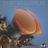 The Mangle: November 2013