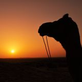 Nomadic Life mix