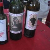 Les vendanges du Haut Quineleu