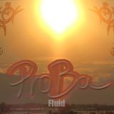 Proba - Fluid-Mix (2012)