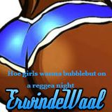 ErwindeWaal - Hoe girls wanna bubblebut on a reggea night (BasoMoombahBootleg)