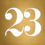 23
