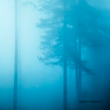 deep forest