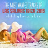 The most wanted tracks of Las Salinas Ibiza 2015
