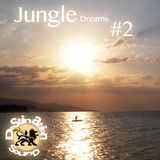 Destination Sound - Jungle Dreams Mixtape #2