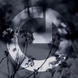 Tehnofonika POD004 - BT Gate X-138