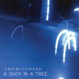 A Duck in a Tree 2014-03-22 | They Came, He Pushed, They Flew